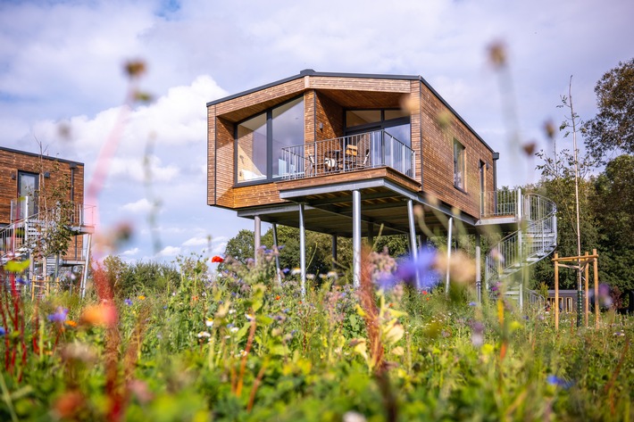 Übernachten im Baumhaus in Deutschland: Warum Architektur, Ruhe und Natur im Herbst und Winter besonders wirken