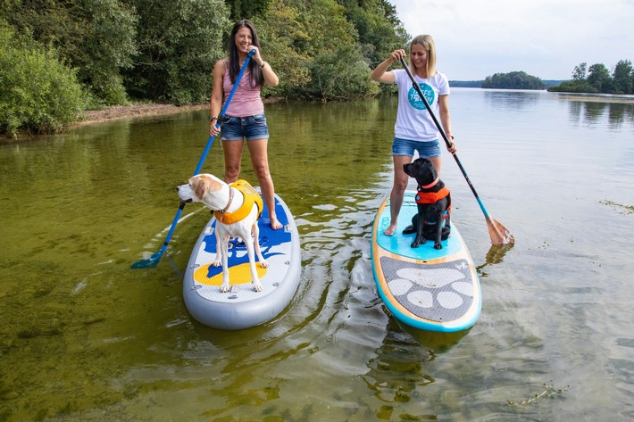 Deutschlands hundefreundlichste Campingplätze – worauf es Hundebesitzern besonders ankommt